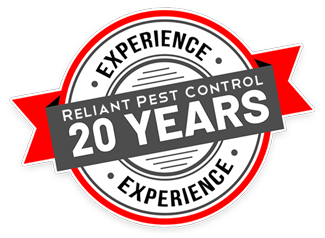 20 years of Pest Control experience