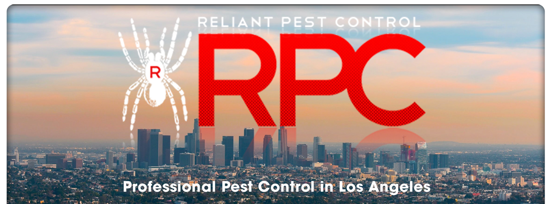 Contact Reliant Pest Control