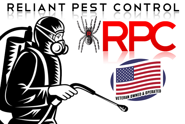 professional pest control in Los Angeles